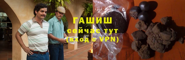 индика Алзамай