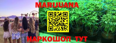 прущие грибы Беслан