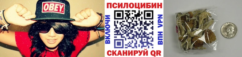 купить наркотик Волоколамск OMG ссылки Псилоцибиновые грибы GOLDEN TEACHER