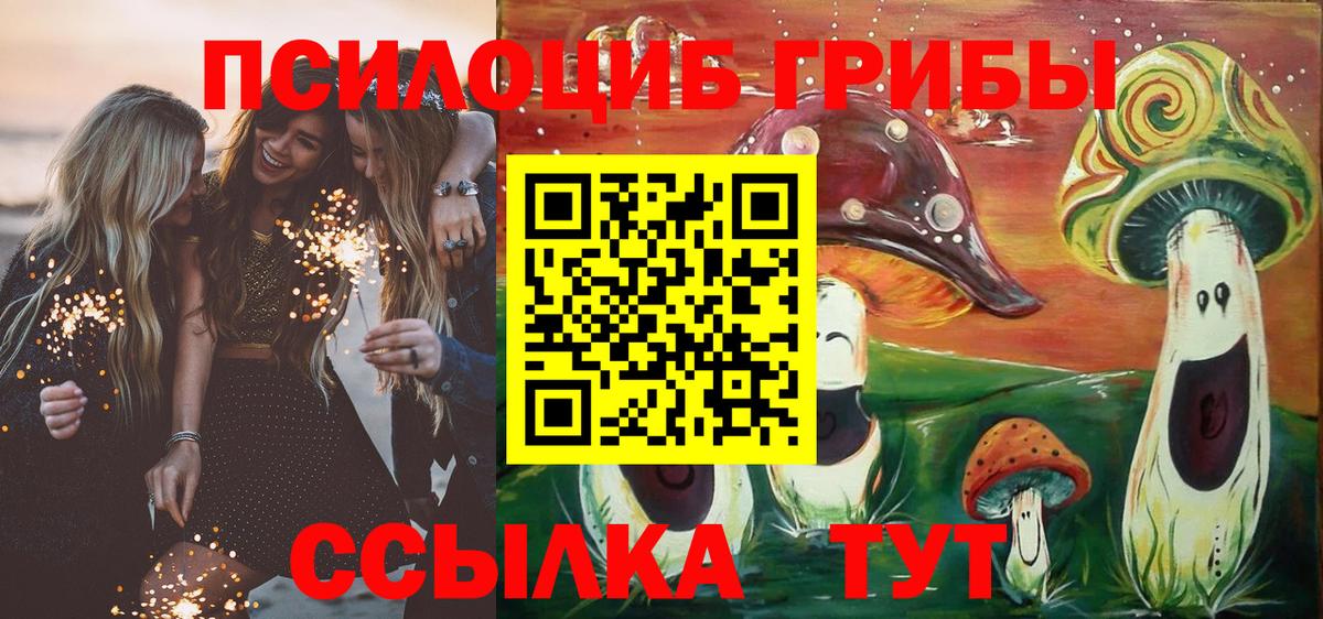 Псилоцибиновые грибы ЛСД  Вход с VPN  Псилоцибиновые грибы ЛСД  Волоколамск 