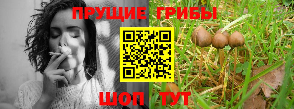 Галлюциногенные грибы MAGIC MUSHROOMS  Волоколамск 